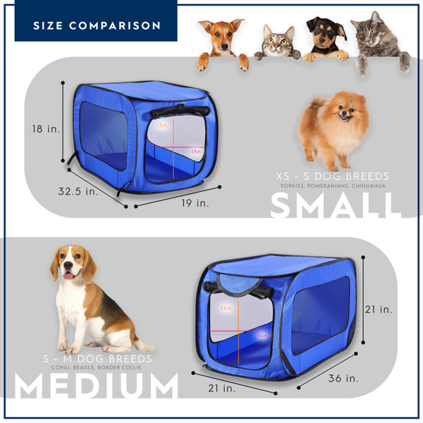 Kennel size clearance for beagle